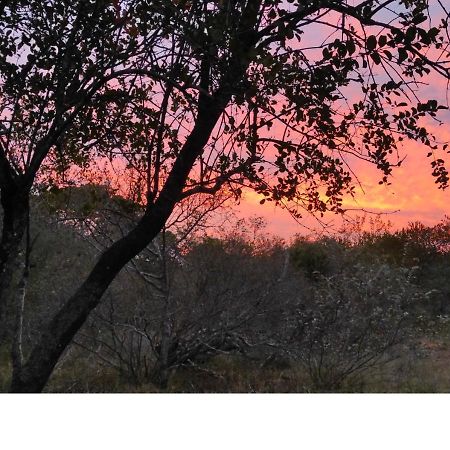Lion King Villa Marloth Park Bagian luar foto