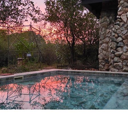 Lion King Villa Marloth Park Bagian luar foto